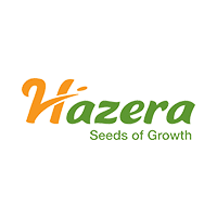 hazera